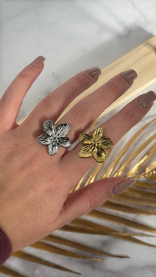 Anello Narcisio