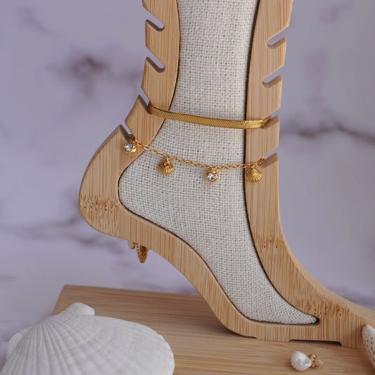 Cavigliera shell