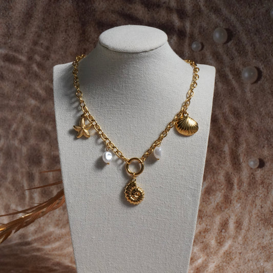 Collana Timon Shell